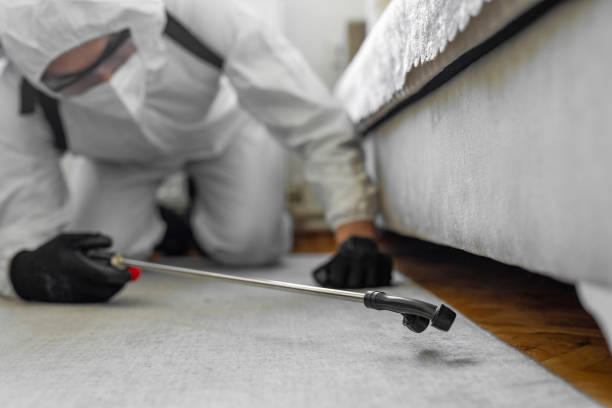 Professional Termite Control technician working in Riverbank, CA