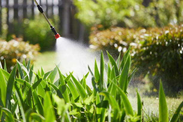 24/7 Emergency Termite Control experts in Riverbank, CA